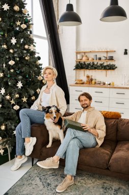Bir çift kanepede dinlenir, köpekleriyle şenlik ağacının yanında vakit geçirirler..