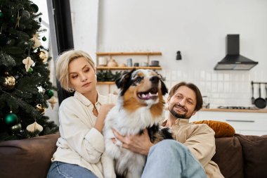 Bir çift, evlerinin sıcaklığını kucaklamak için köpekleriyle birlikte kanepede dinlenir..