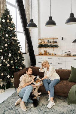 Mutlu bir çift tatil boyunca tatlı köpekleriyle kanepede dinlenir..
