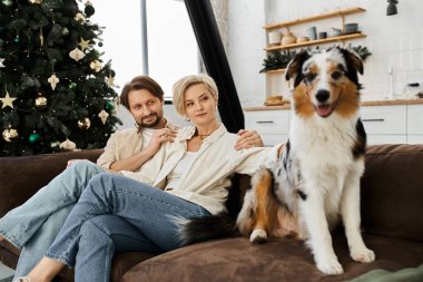 Köpekleri yakınlarda mutlu bir şekilde otururken bir çift kanepede rahatlar, sıcaklığını ve gülümsemesini paylaşır..