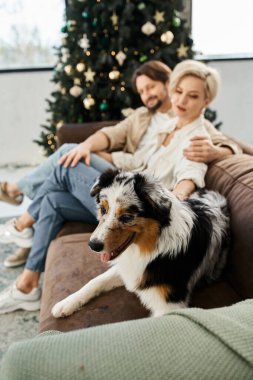 Bir çift kanepede birlikte rahatlar, neşeli köpekleri yakınlardayken birbirlerine eşlik ederler..