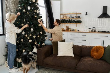 Bir çift, Noel ağacına neşeyle süslenirken köpekleri de evlerinde onları seyrediyor..