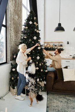 Sevgi dolu bir çift Noel ağacına süs eşyası eklerken köpekleri evde hevesle izliyor..