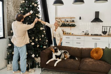 Mutlu bir çift Noel ağacına süslerini asarken köpekleri kanepede dinleniyor..