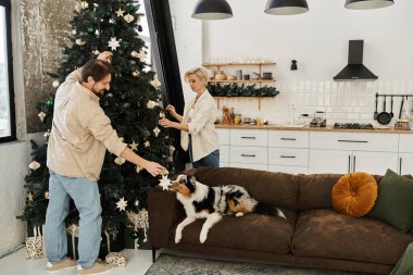 Bir çift Noel ağacını neşeyle süslerken bir köpek yakınlardaki kanepede dinleniyor..