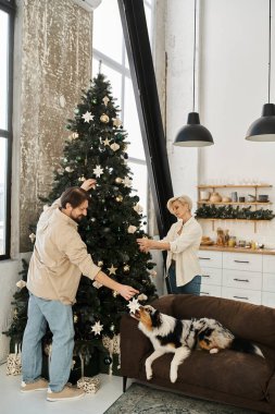 Çiftler Noel ağacını güzelleştirirken köpekleri de bayram aktivitelerini izliyor..