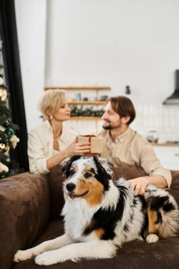 Sevecen bir çift, sevgi dolu köpekleri kanepede yatarken birbirlerine hediye verirler..