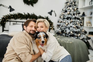 Neşeli bir çift tatil için güzel dekore edilmiş oturma odasında köpeklerine sarılıyor..