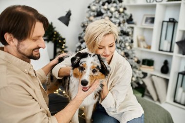 Bir çift güzel dekore edilmiş yaşam alanında köpekleriyle keyifli anlar paylaşır..