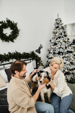 Sevgi dolu bir çift, Noel süslemeleri ve bir ağaç arasında köpekleriyle evde dinlenir..