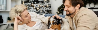 Bir çift, tatilde evde rahat rahat otururken köpekleriyle hassas bir anın tadını çıkarıyor..