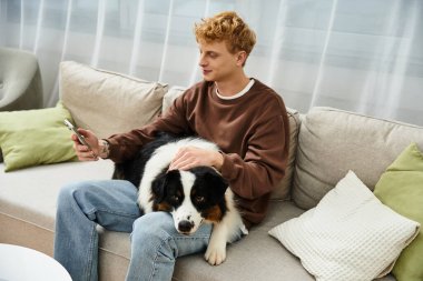 A young man with red hair relaxes at home, petting his cute Australian Shepherd dog on the couch. clipart