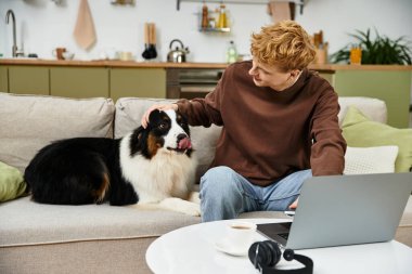 Kızıl saçlı genç bir adam, Avustralyalı çoban köpeğiyle rahat bir apartman dairesinde oynuyor..