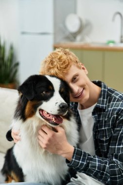 Genç kızıl saçlı bir adam, modern bir evde sevimli Avustralyalı çoban köpeğini kucaklıyor..