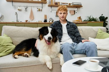 Genç kızıl saçlı bir adam, modern bir evde neşeli Avustralyalı çoban köpeğiyle kanepede dinleniyor..