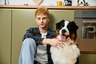 Modern bir dairede, genç kızıl saçlı bir adam neşeli Avustralyalı çoban köpeğiyle rahatlar..