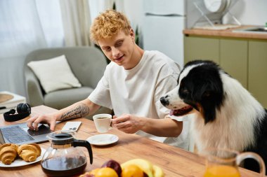 Genç kızıl saçlı bir adam, Avustralyalı çobanıyla sıcak bir sabahı paylaşıyor, birlikte kahve içiyorlar..