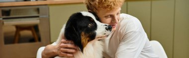 Kızıl saçlı genç bir adam, Avustralyalı çoban köpeğini şık bir evde, pankartta kucaklıyor.