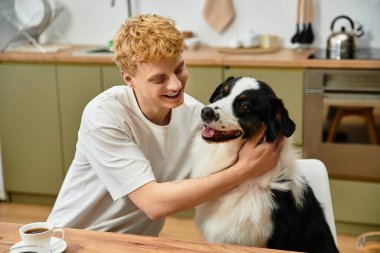 Modern bir dairede, genç bir adam neşeli Avustralyalı çoban köpeğiyle sevgi dolu bir şekilde iletişim kurar..