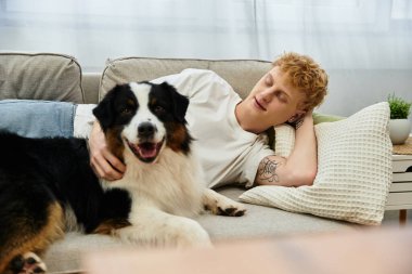 Evde dinlenen genç bir adam ve onun neşeli Avustralyalı çobanı birlikte neşeli bir anı paylaşıyorlar..