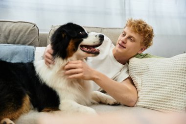 Neşeli bir kızıl adam, tatlı Avustralyalı çoban köpeğiyle evdeyken sevgi dolu bir şekilde iletişim kurar..