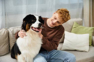 A young man with red hair plays with his Australian Shepherd in a cozy modern apartment. clipart