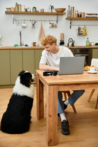 Молодой человек с яркими рыжими волосами взаимодействует со своей очаровательной австралийской овчаркой дома.