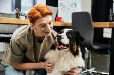 Kızıl saçlı genç bir adam renkli bir ofiste bir köpekle mutlu bir şekilde oynuyor..