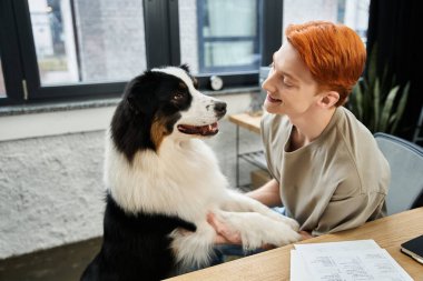 Kızıl saçlı yakışıklı genç bir adam masasında çalışırken köpeğiyle sıcak etkileşime girer..