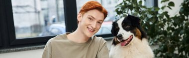 Kızıl saçlı genç adam parlak bir ofiste çalışıyor, köpeğiyle eğleniyor..