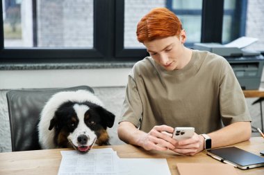Genç kızıl saçlı bir adam telefonunu kullanırken dost canlısı bir köpek modern bir çalışma alanında izliyor..