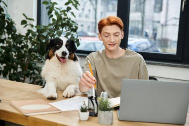 Genç, kızıl saçlı bir adam, modern bir ofiste, yanında dost canlısı bir köpekle çalışıyor..
