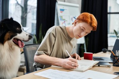 Kızıl saçlı bir adam, ofiste dost canlısı bir köpek otururken işini titizlikle yapar..