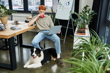 Genç kızıl saçlı adam ofisinde oturup köpeğinin yanında laptopuyla çalışırken kahvesini yudumluyor..