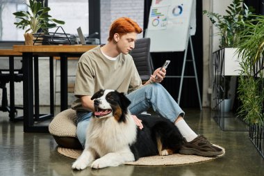 Odaklanmış genç adam şık bir ofiste köpeğiyle yerde otururken telefonunu kontrol ediyor..