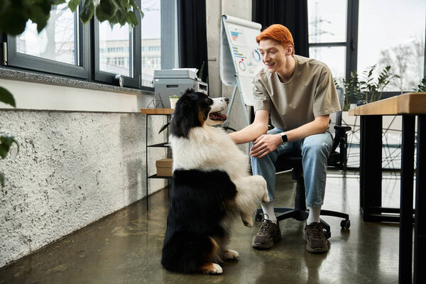 In a lively office, a young redhead plays with a dog, creating a joyful vibe.