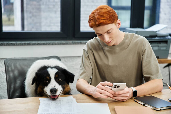 A young red haired man uses his phone while a friendly dog watches in a modern workspace.