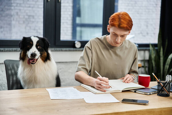 Red haired man focused on his work while sitting at a wooden desk alongside a friendly dog.