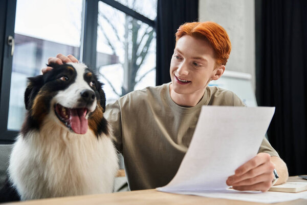 Engaging in work tasks, a young red haired man shares joyful time with his dog in the office.