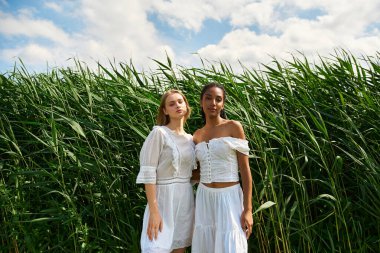 Işıl ışıl kadınlar canlı yeşil bir alanda, sevgi ve bağlarını kucaklayan neşeli bir anı paylaşırlar..