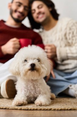 İki adam evlerinde, yakınlarındaki köpekleri ile birlikte sıcak ve sevgi dolu bir zaman geçirirler..