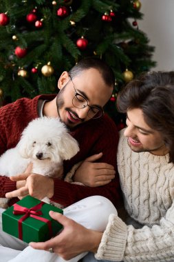 İki sevecen adam evde özel bir anı paylaşıyor. Kutlama sezonunu köpekleriyle kutluyorlar..