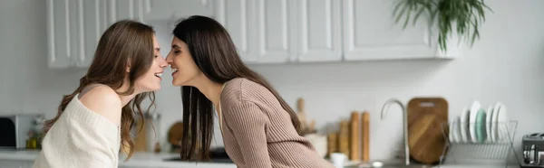 Вид сбоку лесбиянок, стоящих нос к носу на кухне, баннер — стоковое фото