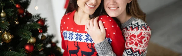 Vista cortada de sorrir casal do mesmo sexo em suéteres abraçando perto da árvore de natal decorada em casa, banner — Fotografia de Stock