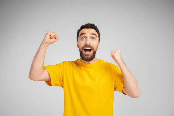 Hombre barbudo excitado en camiseta amarilla gritando y mostrando gesto de éxito aislado en gris - foto de stock