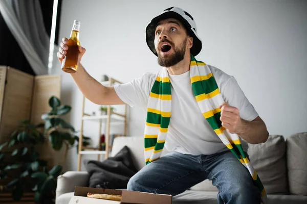 Збуджений бородатий чоловік у спортивному капелюсі та шарфі тримає пляшку пива під час перегляду чемпіонату — стокове фото