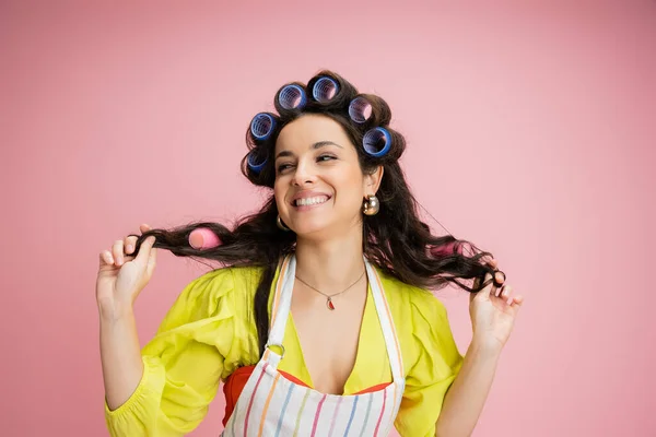 Flirty housewife in striped apron and hair curlers pulling hair and smiling while looking away isolated on pink — Stock Photo