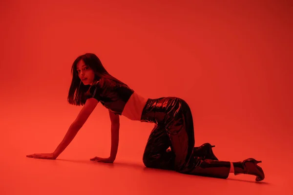 Full length of stylish woman in latex crop top and trousers crawling on red — Stock Photo