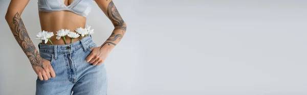 Vista ritagliata di donna sexy in reggiseno e jeans con fiori bianchi in posa con i pollici in tasche isolate su grigio, banner — Foto stock
