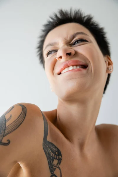 Low angle view of excited tattooed woman with piercing biting lip and looking away isolated on grey — Stock Photo
